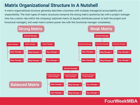 matrix organization